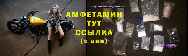 PSILOCYBIN Бежецк
