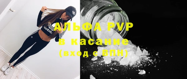 spice Белая Холуница